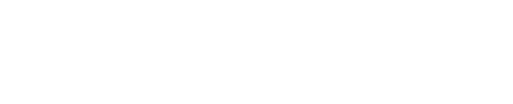 SB NETWEB